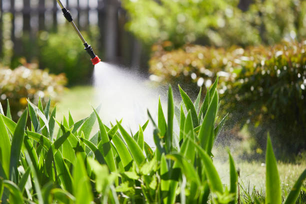 Tamper-Resistant Bait Stations for Rodents in Cheraw