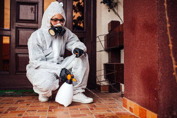 Attic and Crawl Space Rodent Treatment in Cheraw