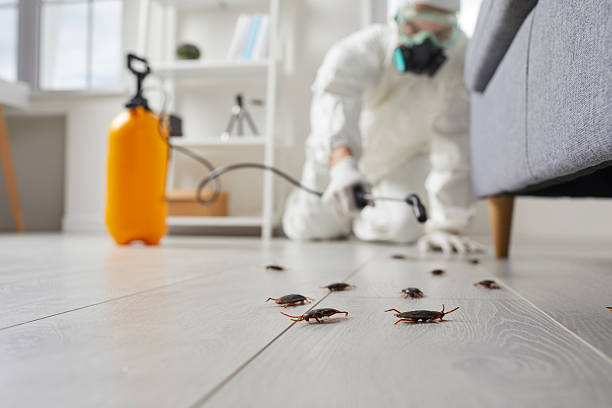 Commercial Rodent Management in Cheraw